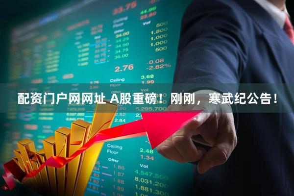 配资门户网网址 A股重磅！刚刚，寒武纪公告！